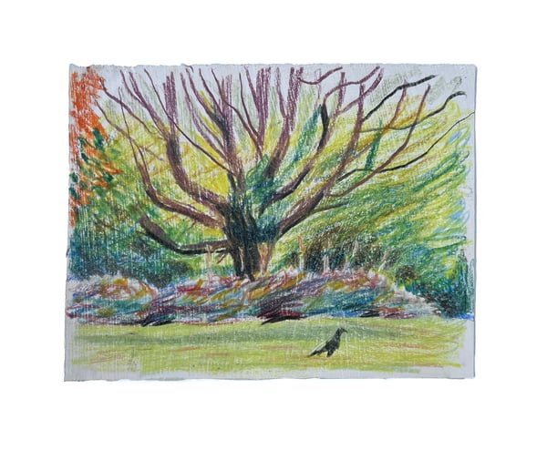 Image of Autumn Drawing 17