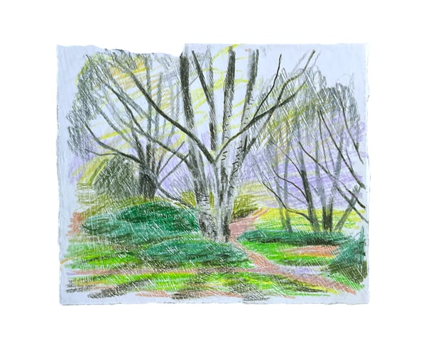 Image of Autumn Drawing 15