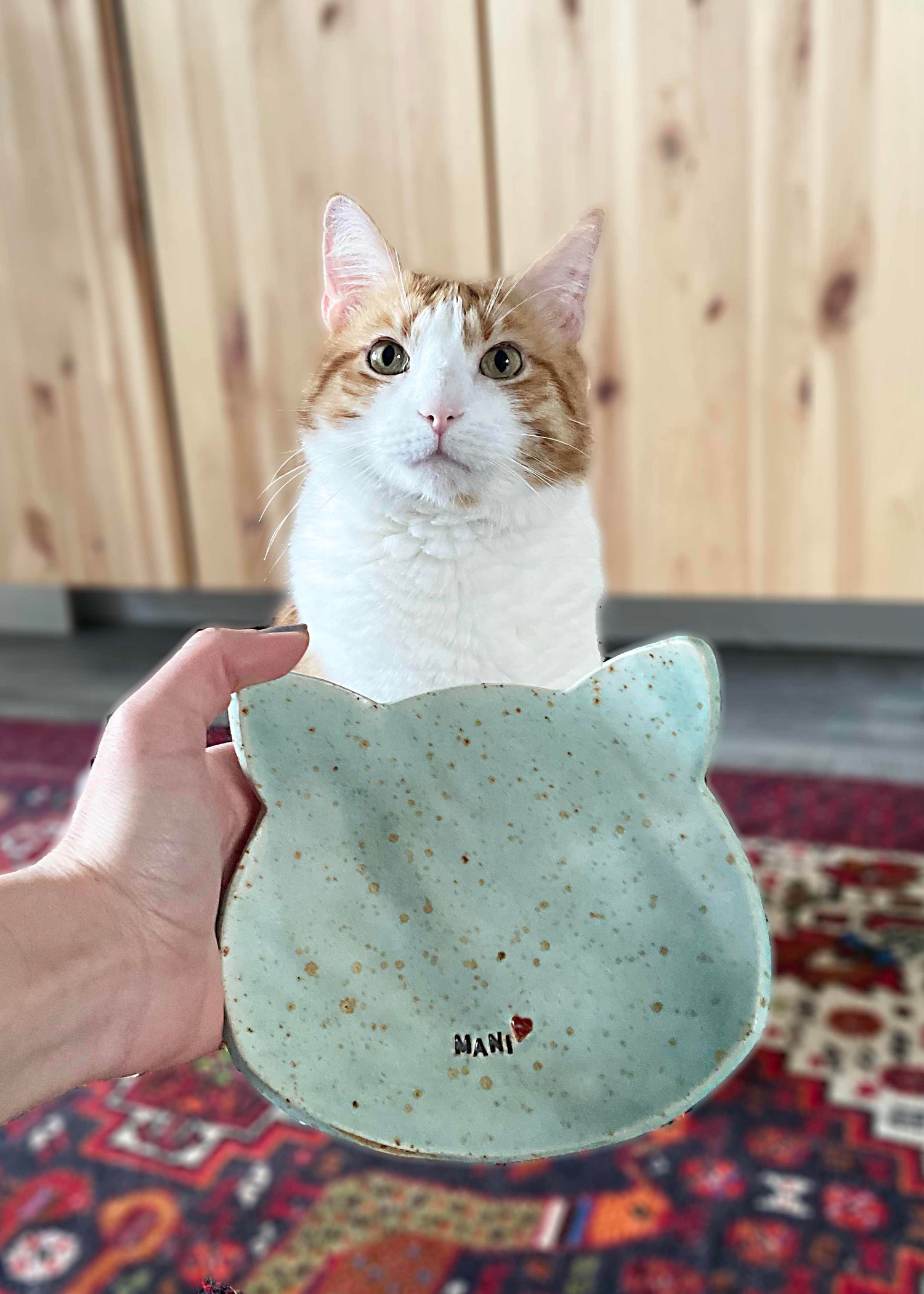 Image of Make your pet’s dishes