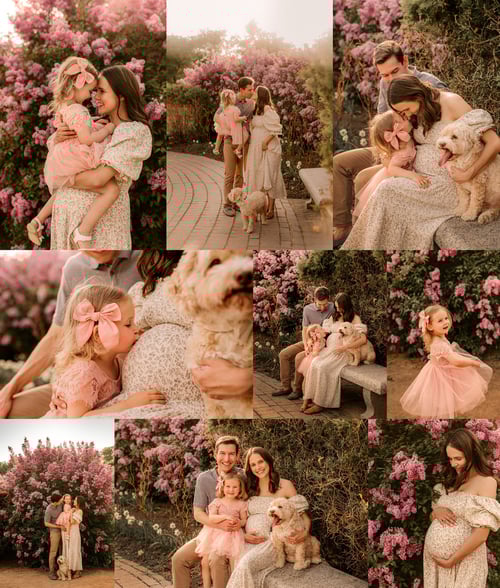 Image of Outdoor and Indoor Family or Maternity Black Friday Deal for 2026