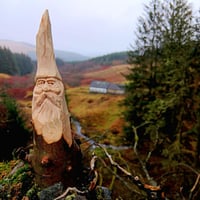 Image 3 of Carve a Wood Spirit in the Flat Plane Style
