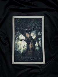 Image 2 of V - Signed limited prints