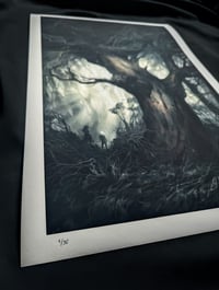 Image 5 of V - Signed limited prints