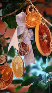 Image 3 of Citrus Garland