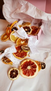 Image 4 of Citrus Garland