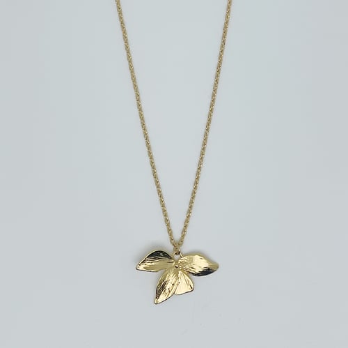 Image of Collier Gentiane