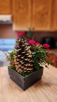 Image 1 of Sugar Pine Cone