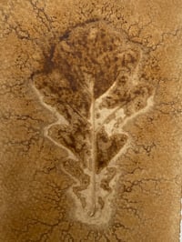 BEUYS' ACORNS (Gall Ink Leaf Print) 2025