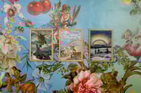 Image 5 of  BIODIVERSITY TAROT DECK - exhibition version