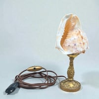 Image 3 of Lampe coquillage Cassis Cornuta sur socle en bronze - Veilleuse coquillage