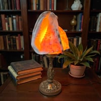 Image 7 of Lampe coquillage Cassis Cornuta sur socle en bronze - Veilleuse coquillage