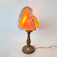 Image 2 of Lampe coquillage Cassis Cornuta sur socle en bronze - Veilleuse coquillage
