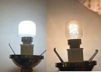 Image 12 of Lampe coquillage Cassis Cornuta sur socle en bronze - Veilleuse coquillage