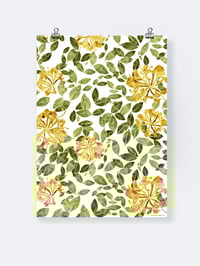 Poster 50x70cm <br><em>Kaprifol</em>