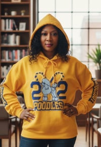 Image 1 of Pretty Poodle Chenille Hoodie  2XL & 3X