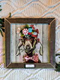 Image 2 of  Festive Goat Portrait