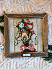 Image 5 of  Festive Goat Portrait