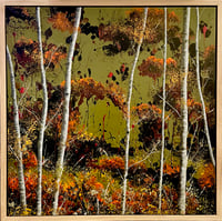 Image 3 of 'Forest Embers'