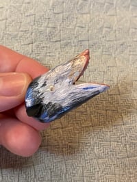 Image 1 of Possum Teef Clay Pin