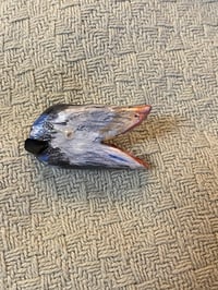 Image 2 of Possum Teef Clay Pin