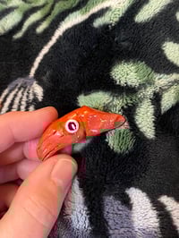 Image 5 of Squid & Cuttlefish Clay Pins