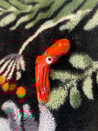 Image 3 of Squid & Cuttlefish Clay Pins