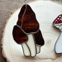 Image 2 of Amanita and Morel Suncatchers