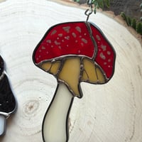 Image 3 of Amanita and Morel Suncatchers