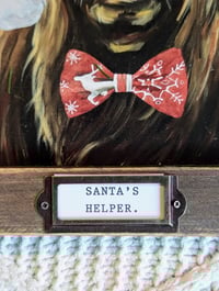 Image 4 of Festive Highland Cattle Portrait