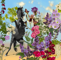 Image 1 of Power of Pollinators Cloth Napkins set #1  (set of 4)