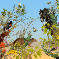 Image 2 of Power of Pollinators Cloth Napkins set #1  (set of 4)