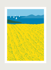 Image 1 of Immortelle Fields