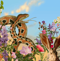 Image 1 of Power of Pollinators Cloth Napkins set #2 (set of 4)