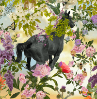 Image 3 of Power of Pollinators Cloth Napkins set #2 (set of 4)