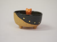 Image 1 of Kitten Bowl 