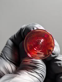 Image 3 of 3dXL Pomegranate 