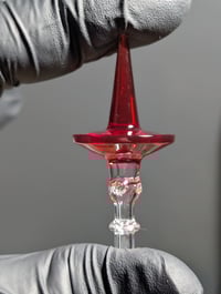 Image 4 of 3dXL Pomegranate 