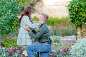 Image of Proposal Portraits