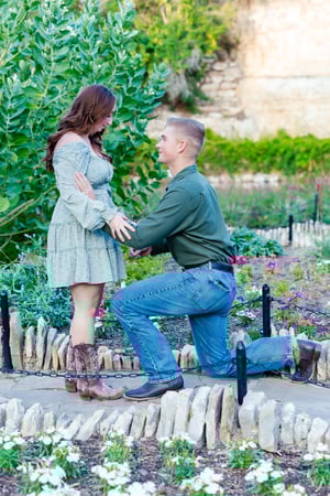 Image of Proposal Portraits