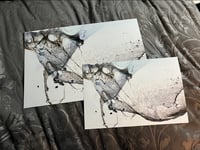 Image 3 of [Archive] Chaos