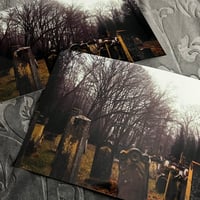 Image 3 of [LAST PHOTO] Eternal Dust