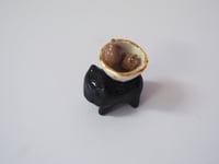 Image 3 of Acorn Bear-er 