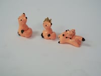 Image 2 of Foxes - choose one 