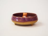 Image 3 of Raspberry Fox Dish 