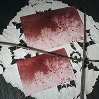 Image 1 of Pluie de Sang ❈ BloodRain