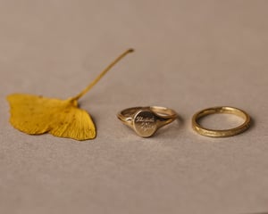 Image of SAMPLE SALE: Fluctuat nec mergitur ring