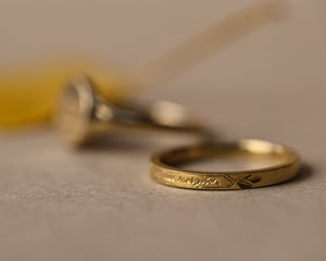 Image of SAMPLE SALE: Fluctuat nec mergitur ring