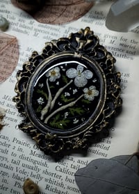 Image 2 of Chameleon Ribs and Floral Mini Wall Frame - Oval