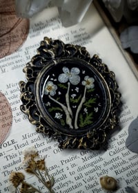 Image 4 of Chameleon Ribs and Floral Mini Wall Frame - Oval