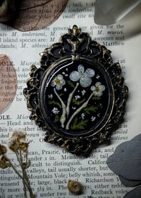 Image 5 of Chameleon Ribs and Floral Mini Wall Frame - Oval